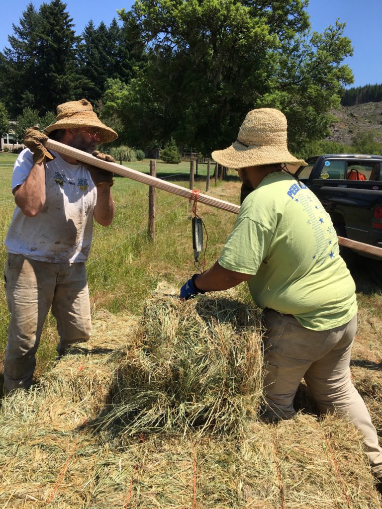 Mike and James checking the weight a bale of hay