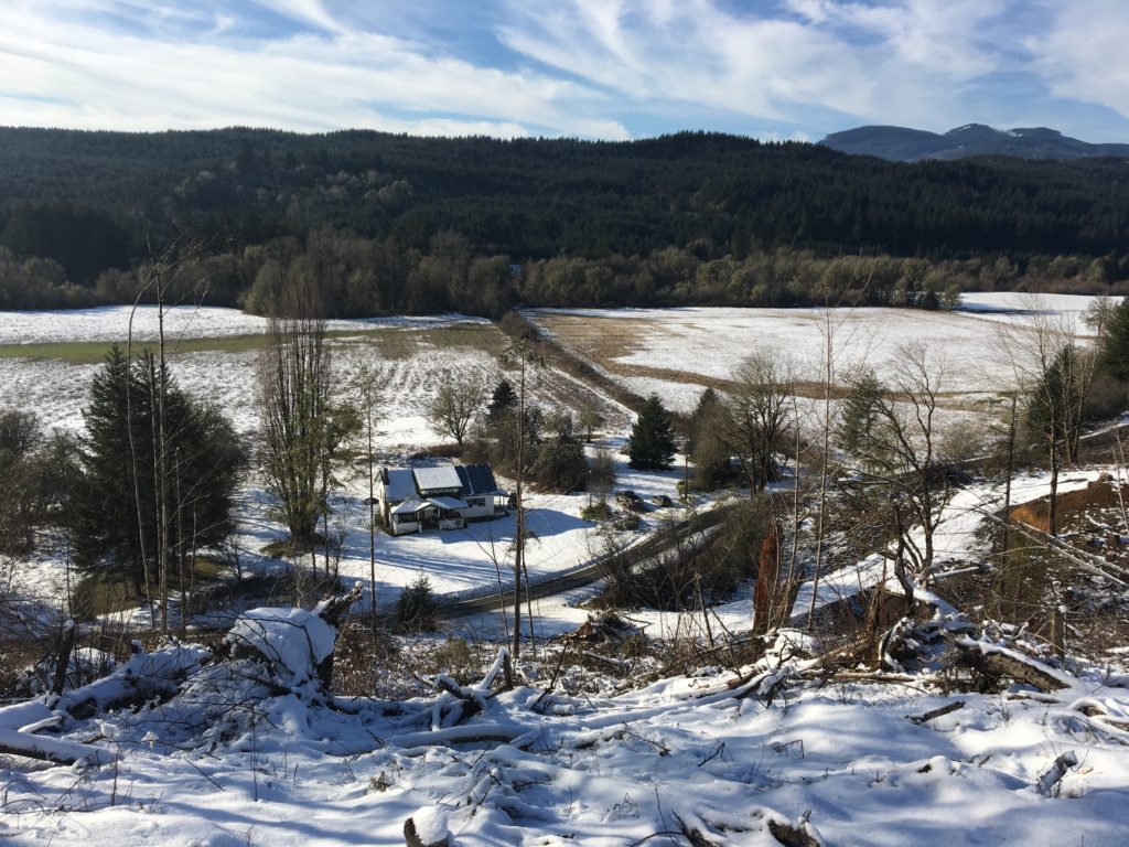 Looking west at the farmhouse and fieldLooking west at the farmhouse and fields covered in snow, January 15, 2017s covered in snow
